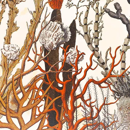 Paquja Quartu SantʼElena