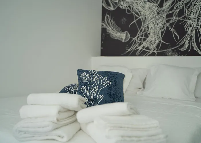 Paquja クアルトゥ・サンテーレナ