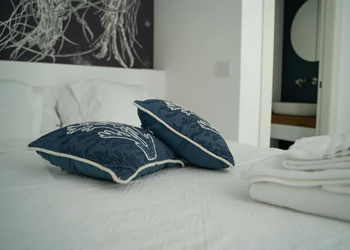 Paquja クアルトゥ・サンテーレナ