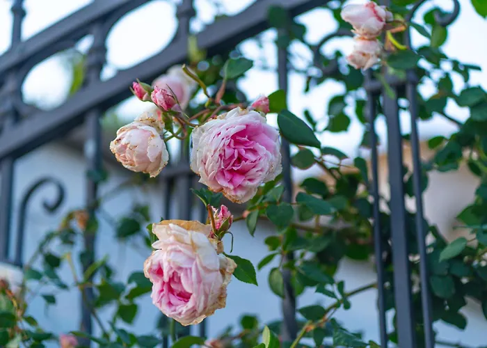 アパートホテル Paquja クアルトゥ・サンテーレナ